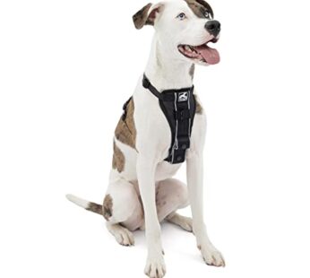 Kurgo Dog Harness | Pet Walking Harness | Medium | Black | No Pull Harness Front Clip Feat