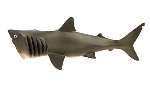 Safari Ltd. Basking Shark Figurine - Detailed 5.75" Plastic Model Figure - Fun Educational - Image 5