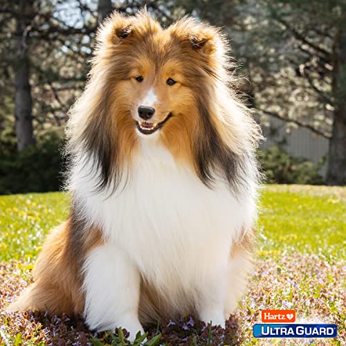 Hartz UltraGuard Plus Flea & Tick Spray for Dogs - Image 6