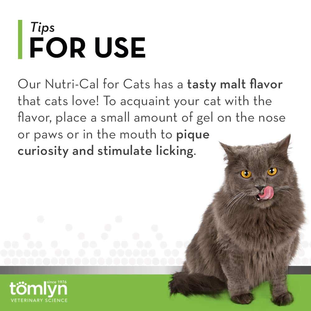Tomlyn High Calorie Nutritional Gel for Cats, (Nutri-Cal) 4.25 oz - Image 6
