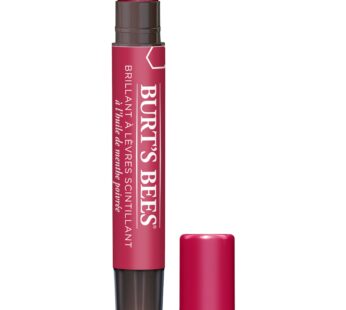 Burt’s Bees Shimmer Lip Tint Stocking Stuffers Set, Tinted Lip Balm Stick, Moisturizing fo