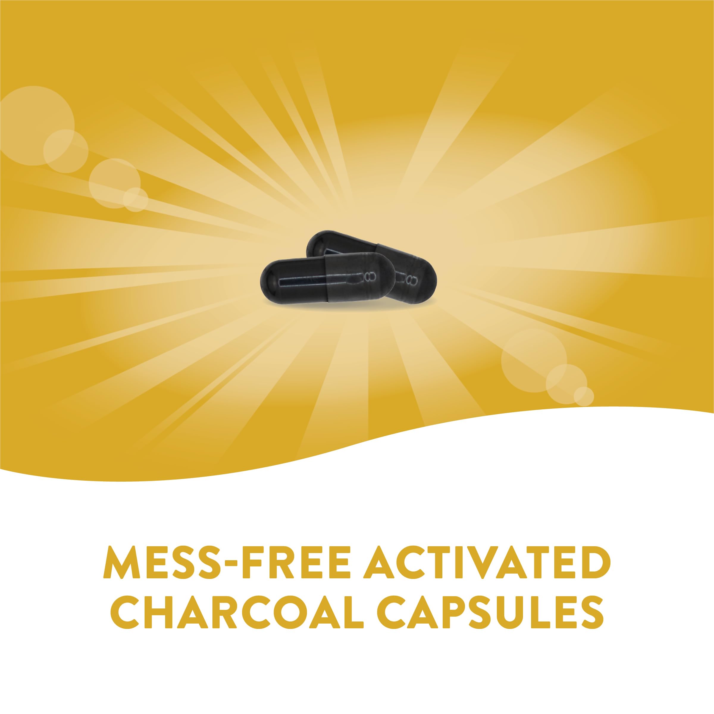 Nature's Way Activated Charcoal Supplement Gluten-Free 100 Capsules - Image 2
