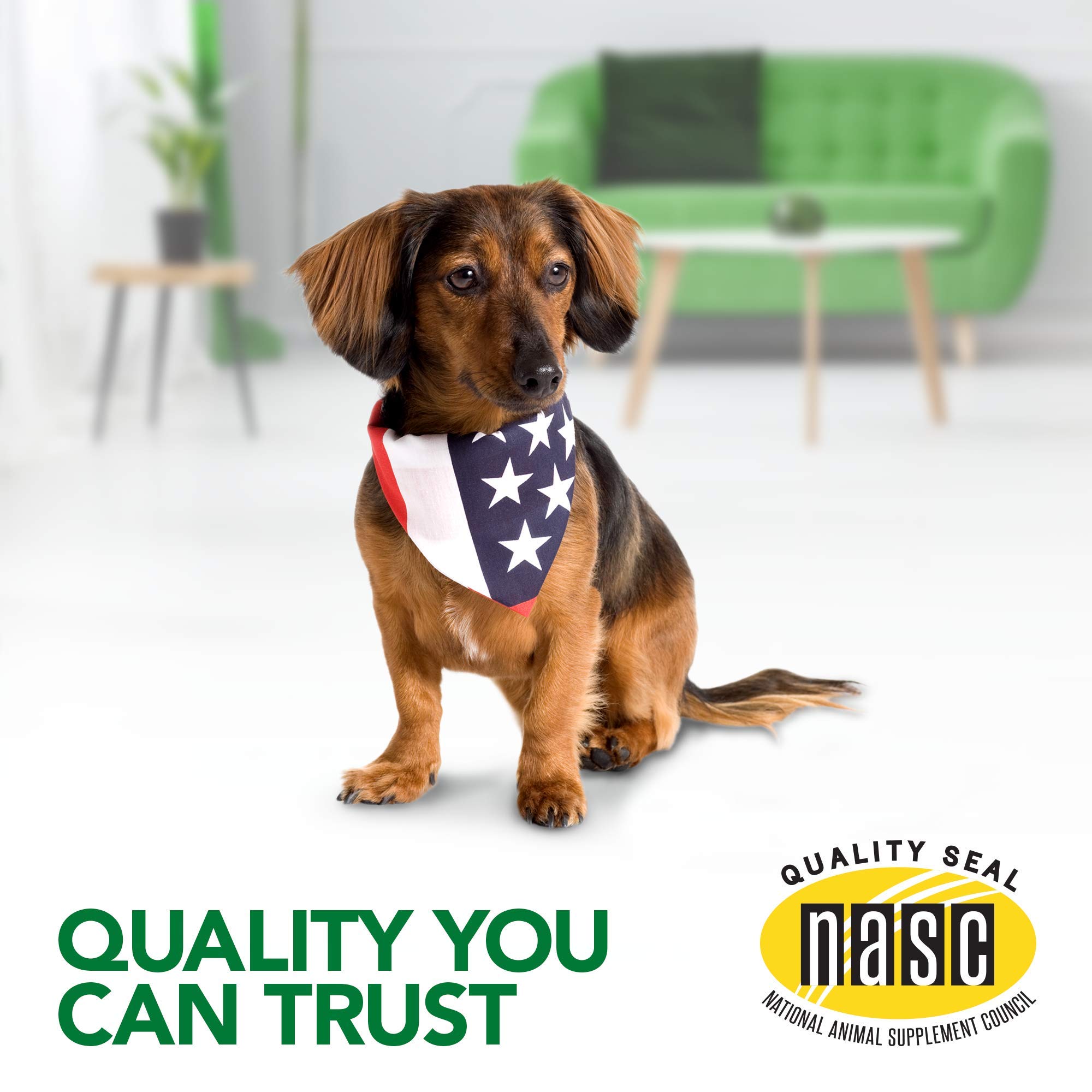Vet's Best Healthy Coat Shed & Itch Relief Dog Supplements | Relieve Dogs Skin Irritation - Image 5