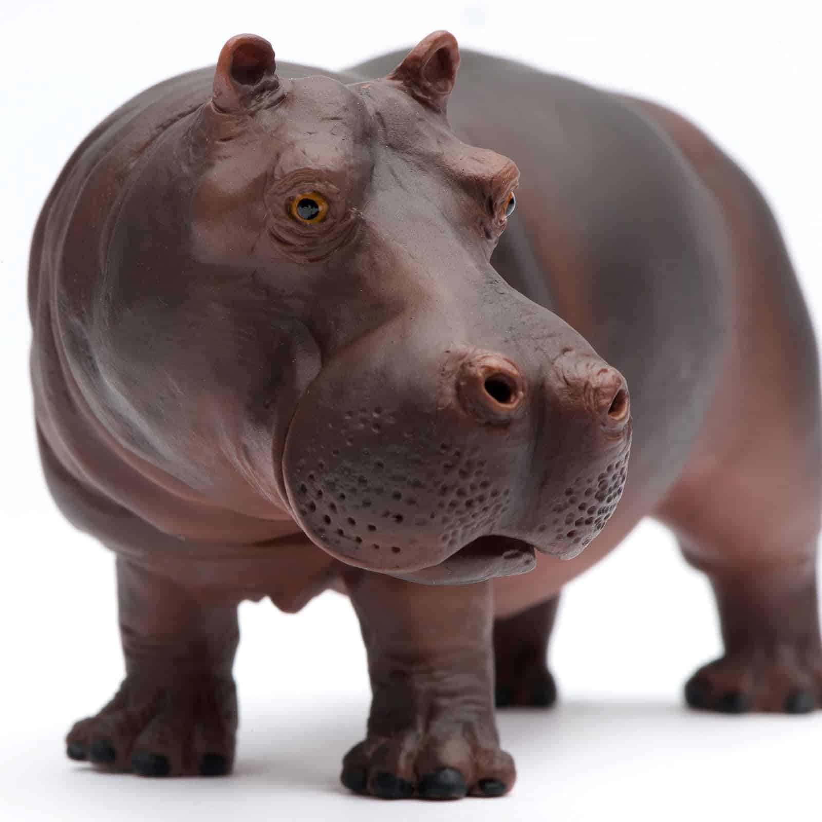 Safari Ltd Wild Safari Wildlife Hippopotamus - Image 2