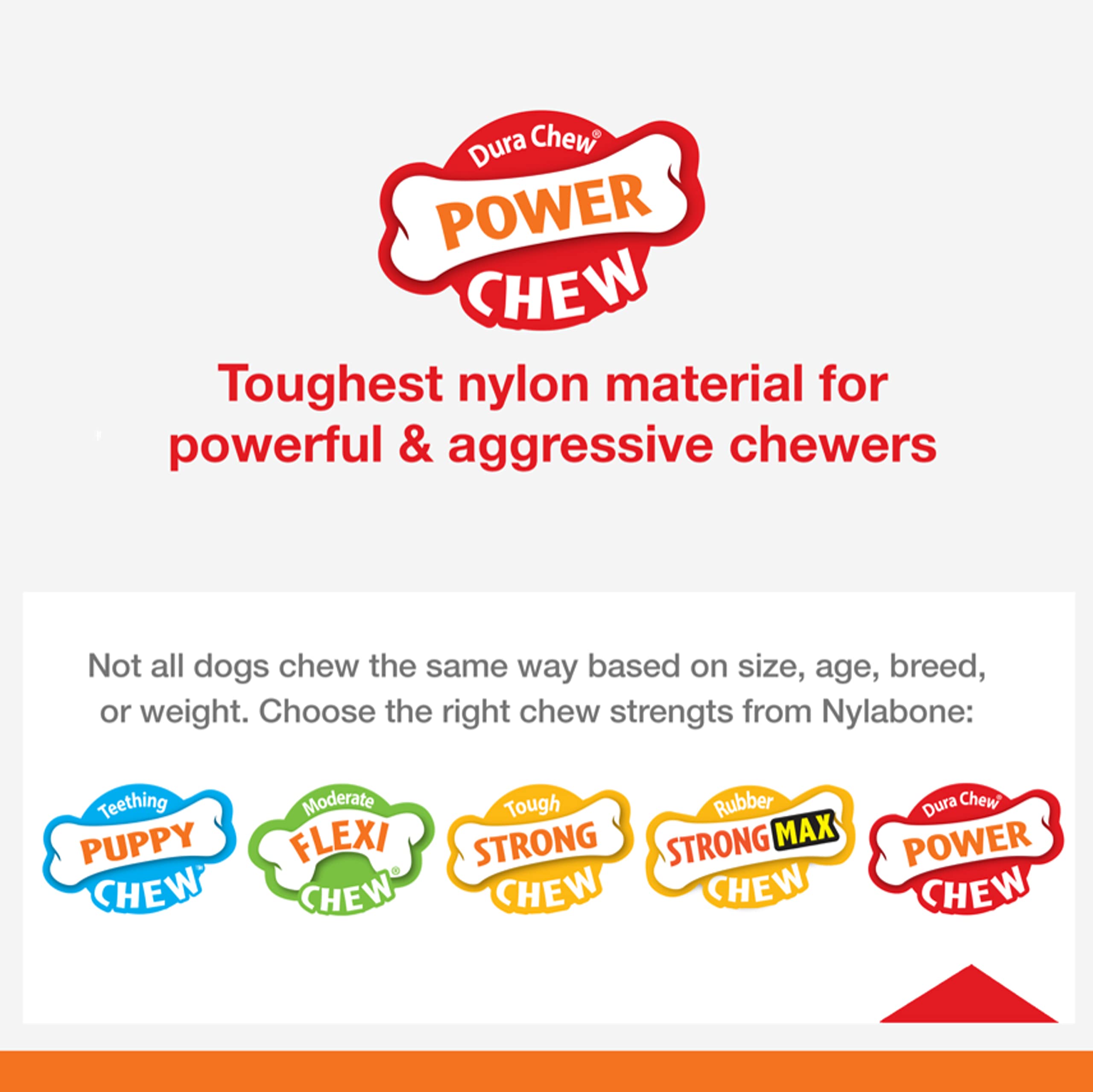 Nylabone Dental Dinosaur Power Chew Durable Dog Toy Small - Up to 25 lbs. - Image 2