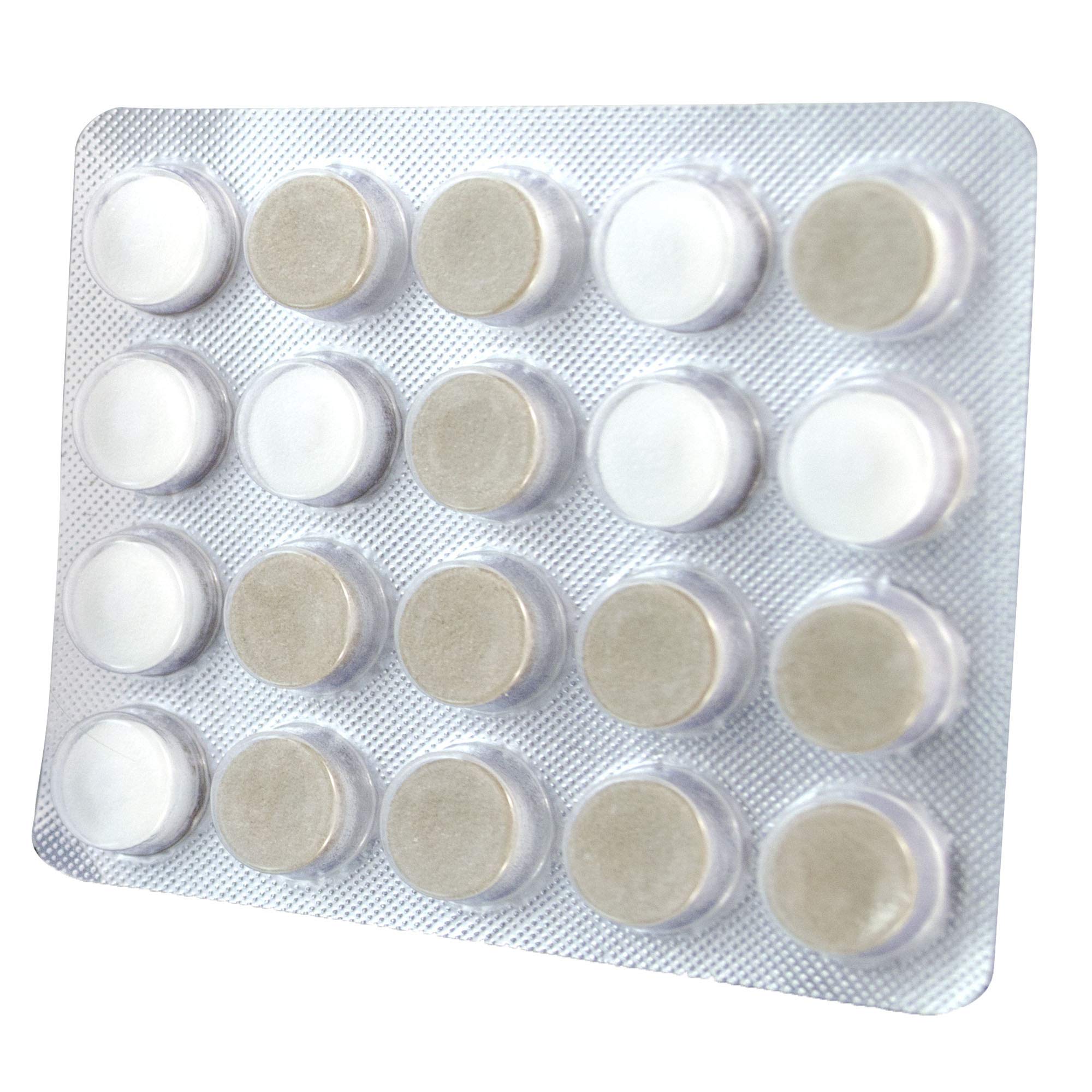 Oracoat Xylimelts Mild Mint Flavor - Image 3