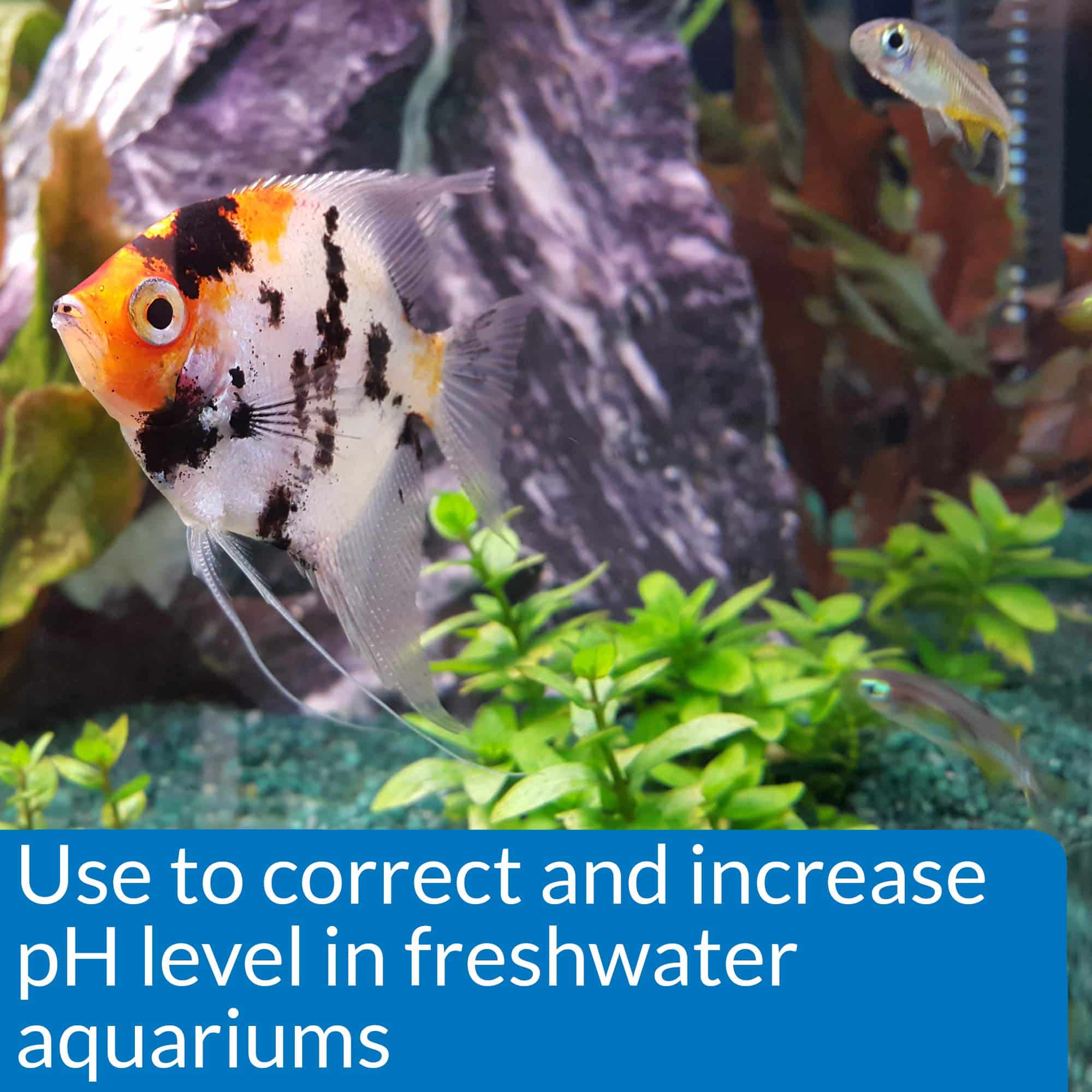 API pH UP Freshwater Aquarium Water pH Raising Solution for fish,4-Ounce Bottle, Brown - Image 2