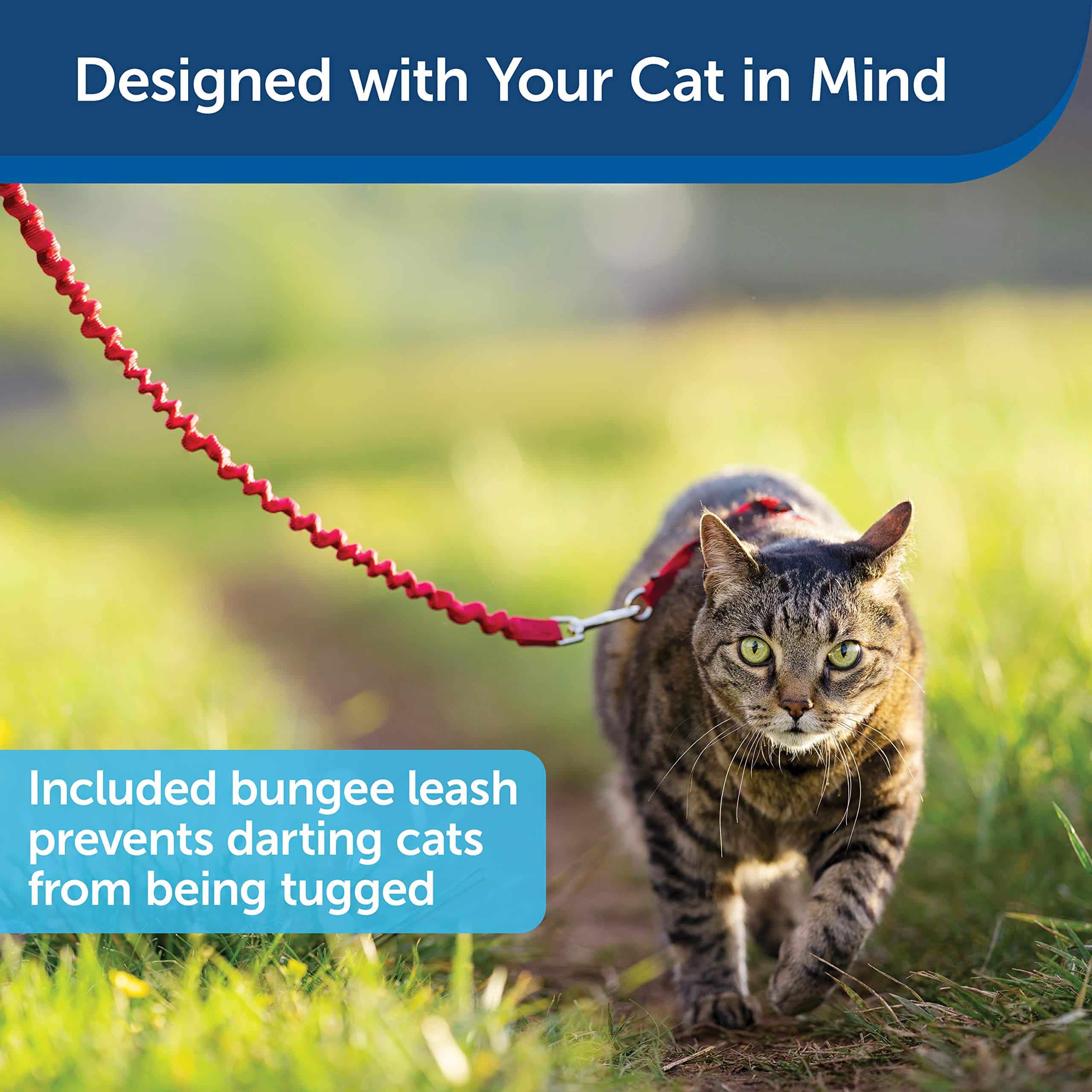 PetSafe Come With Me Kitty Harness and Bungee Leash, Harness for Cats, Large, Red/Cranberr - Image 4