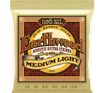 Ernie Ball Earthwood Medium Light 80/20 Bronze Acoustic Guitar Strings, 12-54 Gauge (P0200