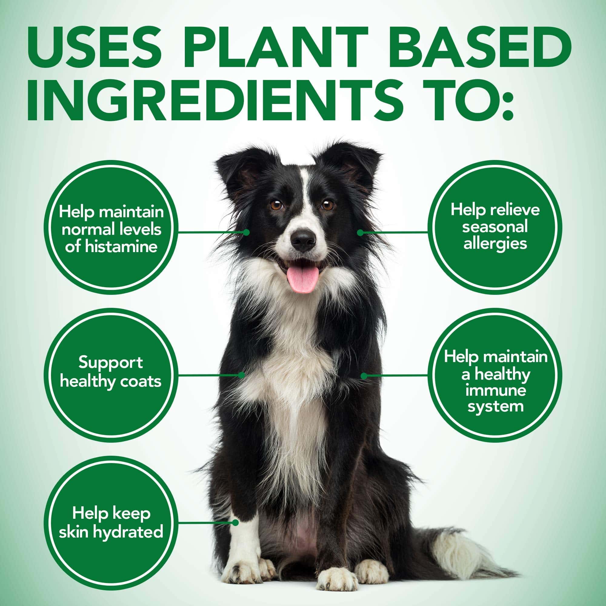 Vet's Best Healthy Coat Shed & Itch Relief Dog Supplements | Relieve Dogs Skin Irritation - Image 3