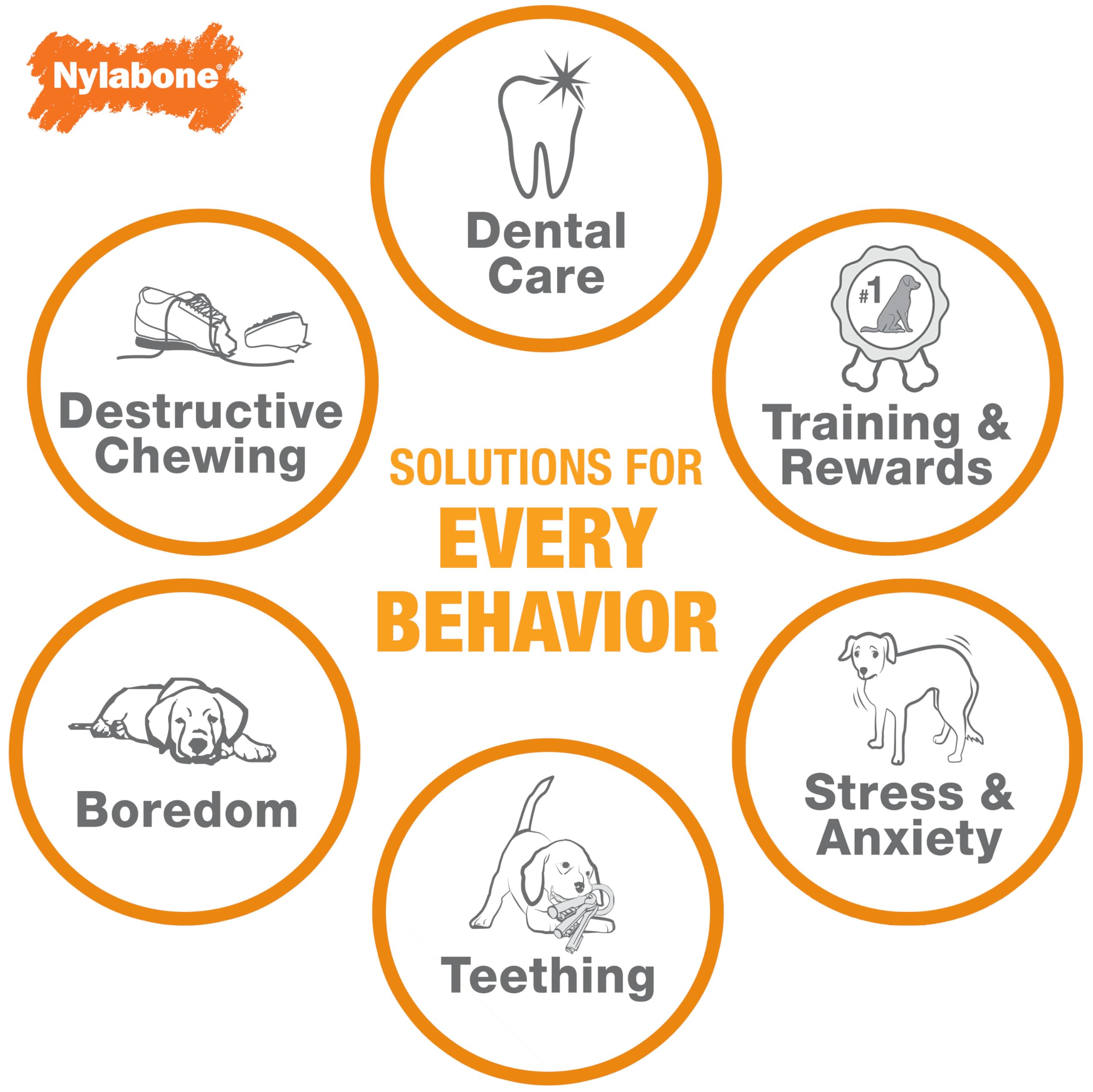 Nylabone Dental Dinosaur Power Chew Durable Dog Toy Small - Up to 25 lbs. - Image 3