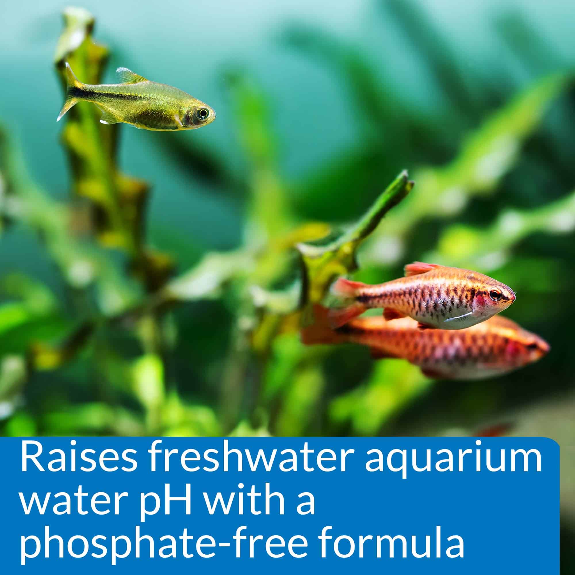 API pH UP Freshwater Aquarium Water pH Raising Solution for fish,4-Ounce Bottle, Brown - Image 3