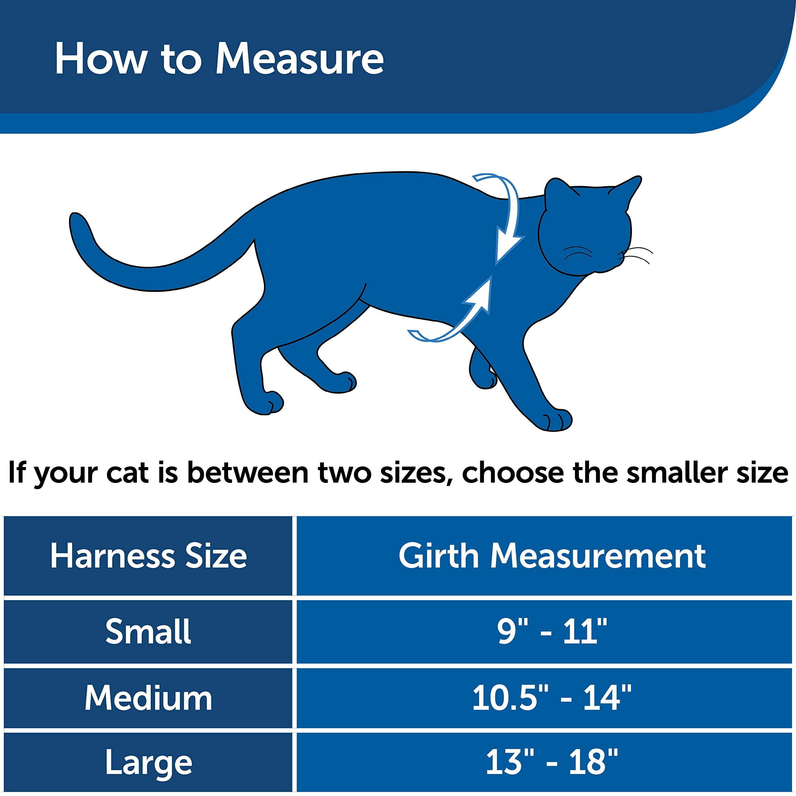 PetSafe Come With Me Kitty Harness and Bungee Leash, Harness for Cats, Large, Red/Cranberr - Image 6