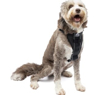 Kurgo Tru-Fit Smart Harness, Dog Harness, Pet Walking Harness, Quick Release Buckles, Fron