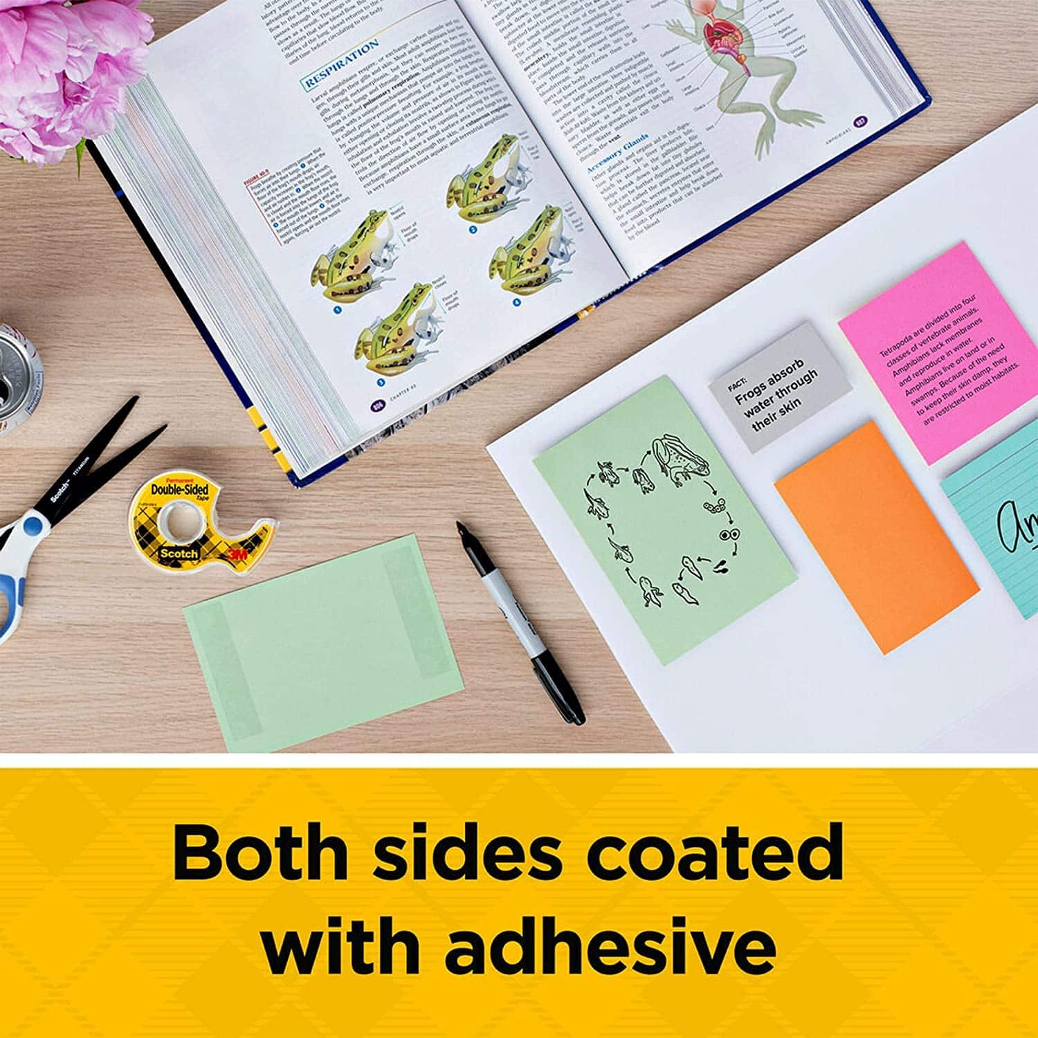 3M Double-Sided Tape with Dispenser, Permanent, 1/2 X 250 Inches, Clear (MMM136) - Image 3