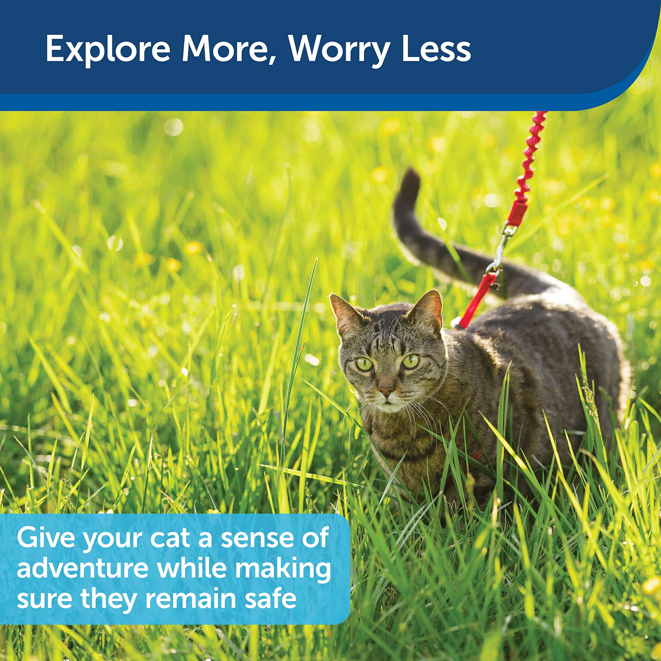 PetSafe Come With Me Kitty Harness and Bungee Leash, Harness for Cats, Large, Red/Cranberr - Image 5