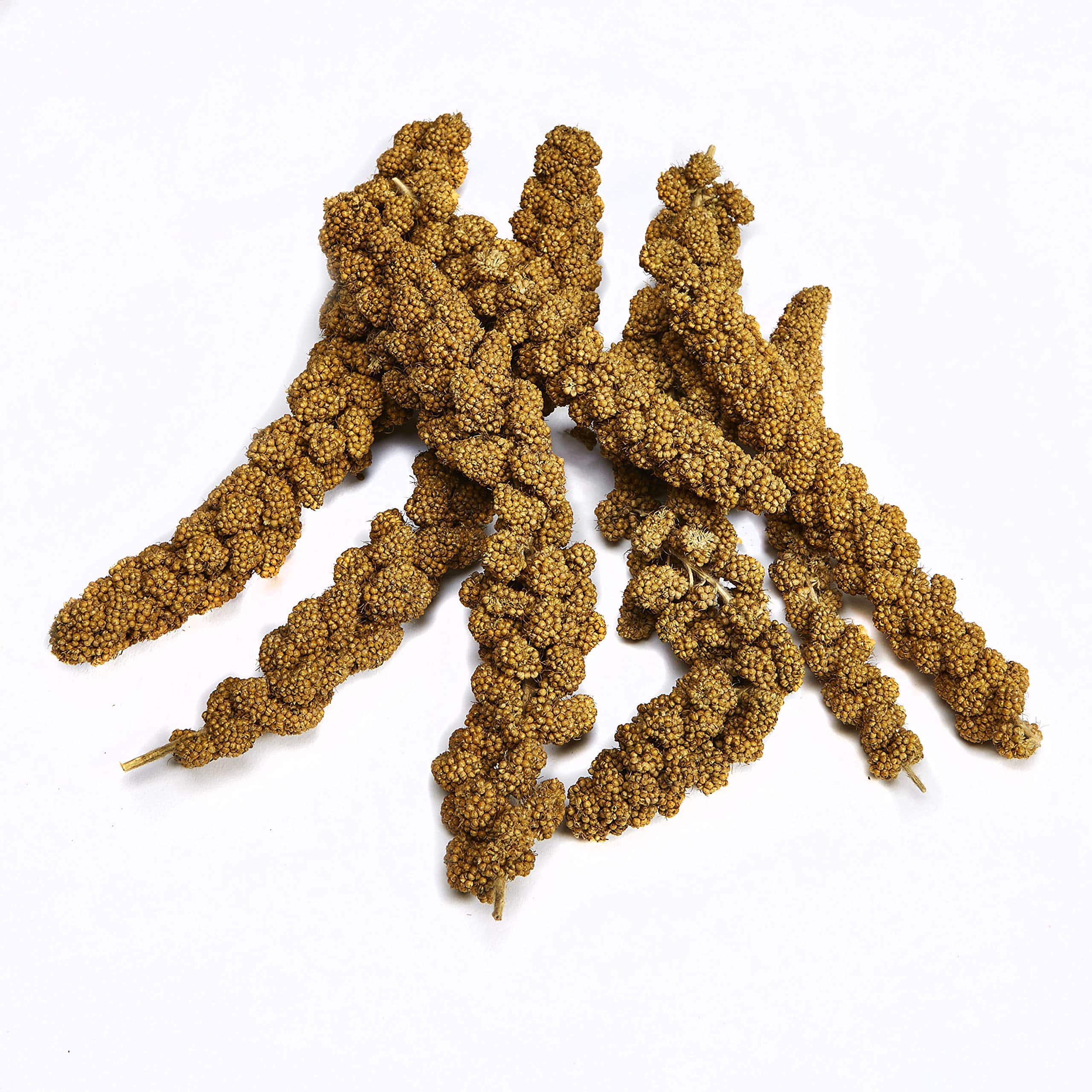 Kaytee Spray Millet Treat for Pet Birds, 7 Ounce - Image 3