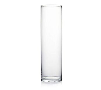 WGV Cylinder Vase, Diameter 5″, Height 18″, Clear Glass Floral Planter Container, Tall Cen
