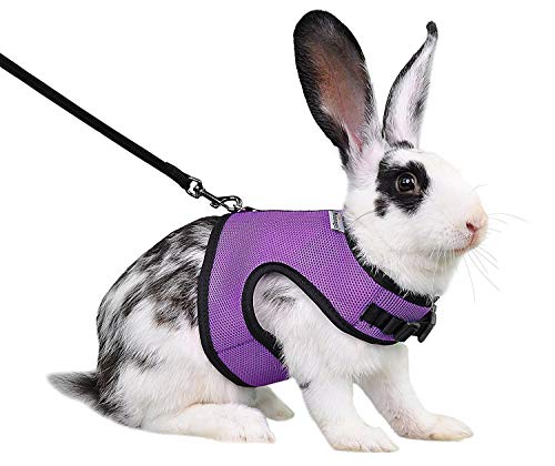Niteangel Adjustable Soft Harness with Elastic Leash for Rabbits (M, Purple) - Image 2