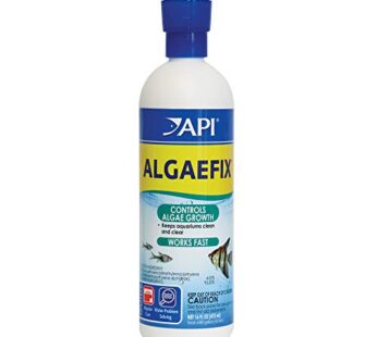 API ALGAEFIX Algae Control 16-Ounce Bottle