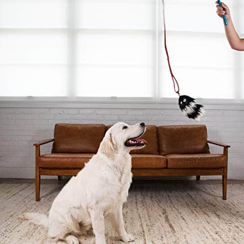 Outward Hound Tail Teaser Durable Dog Wand with Soft Plush Toys - Image 8
