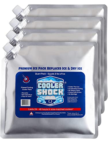 Cooler Shock Reusable Ice Pack - for Lunch Bags and Coolers, Long-Lasting Cold Freezer Pac