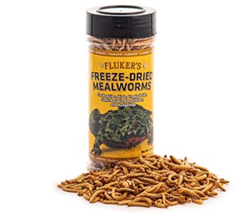 Fluker’s Freeze Dried Insects, Nutrient, Packed Mealworms, Ideal for Lizards, Reptiles, Bi