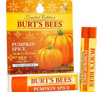 Burt’s Bees Lip Balm Blister, Pumpkin Spice, 0.15 Ounce