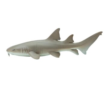 Safari Ltd. Nurse Shark Figurine – Lifelike 5.5″ Model Figure – Educational Toy for Boys,