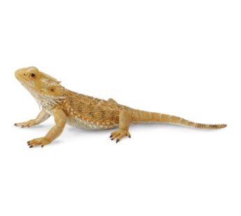 CollectA Bearded Dragon Lizard Toy Figure – Authentic Hand Painted Model , Tan , 1.6 inch