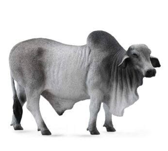 CollectA 88579 Grey Polled Brahman Bull, 5.3″L x 3.3″H , Gray