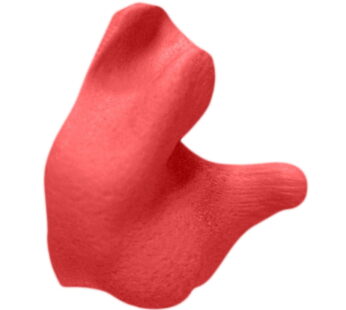 Radians CEP001-R Custom Molded Earplugs (Red)