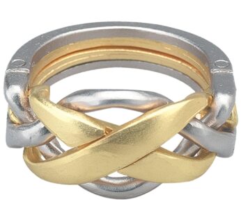 BePuzzled |Ring Hanayama Metal Brainteaser Puzzle Mensa Rated Level 4, for Ages 12 and Up