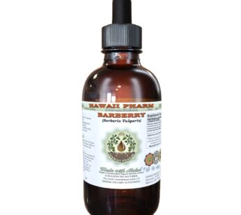 Barberry Alcohol-FREE Liquid Extract, Organic Barberry (Berberis Vulgaris) Dried Root Bark