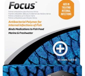 Focus