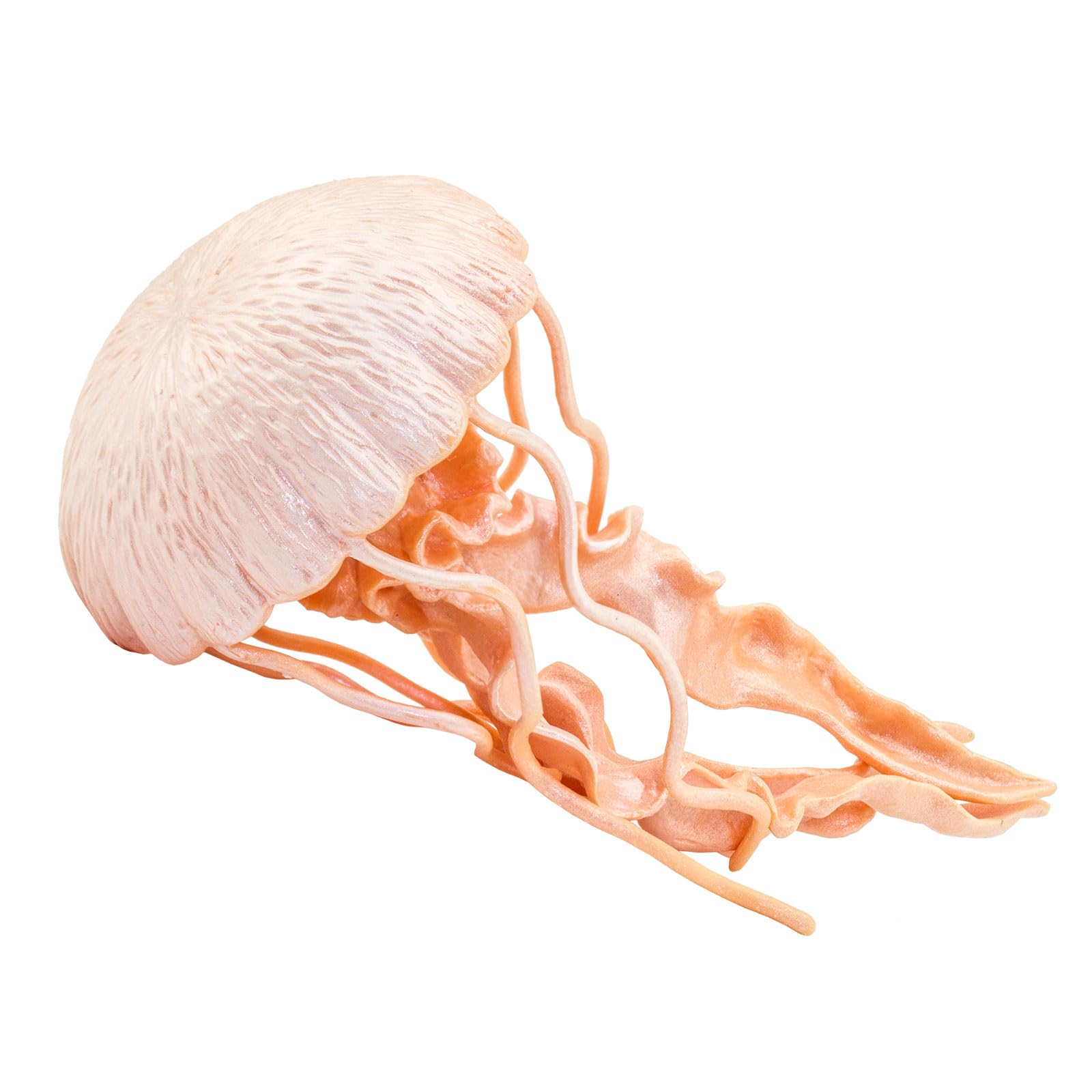 Safari Ltd. Jellyfish Figurine - Detailed 5" Plastic Model Figure - Fun Educational Play T