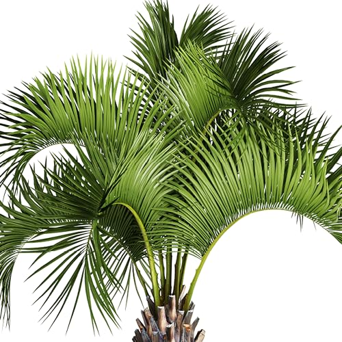 Jobe?s Organics Granular Fertilizer, Organic Fertilizer for Palm Trees and Plants, 4 lbs B - Image 9