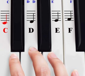 QMG Piano Stickers for 49/61/ 76/88 Key Keyboards Transparent and Removable; Made in USA