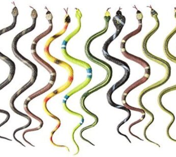 Rhode Island Novelty 14″ Rain Forest Snakes | Assorted Designs | Set of 12