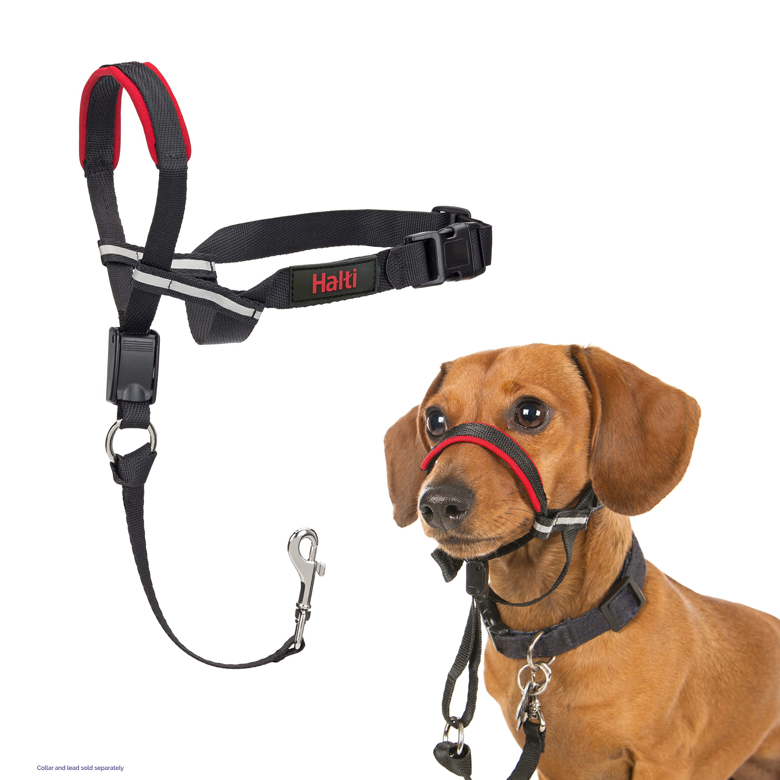HALTI Optifit Headcollar - To Stop Your Dog Pulling on the Leash. Adjustable, Reflective a - Image 2