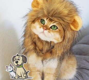 OMG Adorables – Lion Mane Costume for Cats