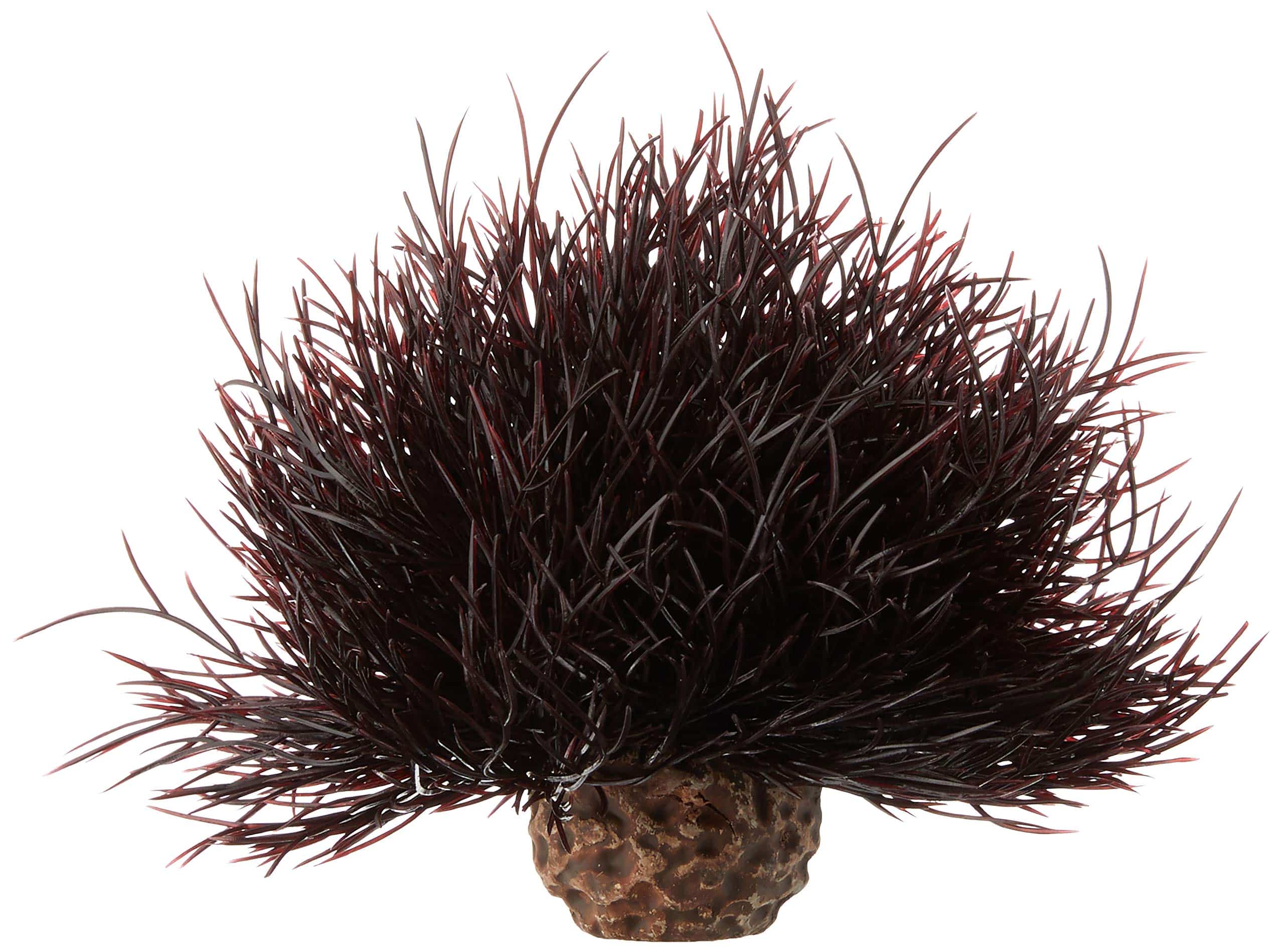 biOrb Sea Lily Crimson