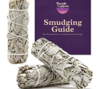 PURPLE CANYON White Sage Bundles – 3 Pack – Sage Smudge Stick for Home Cleansing Incense H