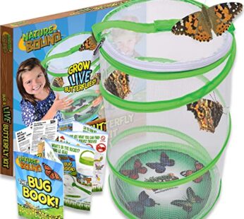 Nature Bound Butterfly Growing Kit – Live Caterpillar to Butterfly Project for Kids – Incl