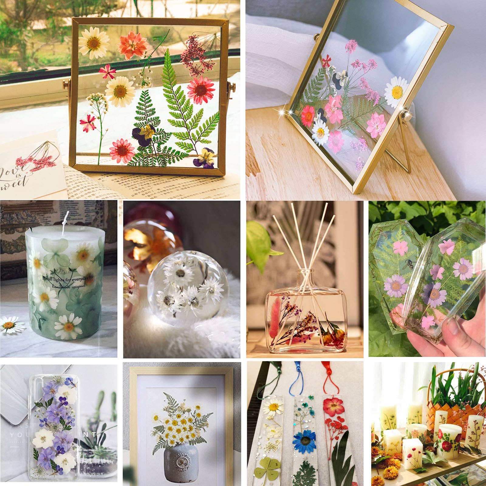 BIHRTC 100PCS Dried Flowers for Resin Real Dry Flower Natural Pressed Died Leaves Sunflowe - Image 5