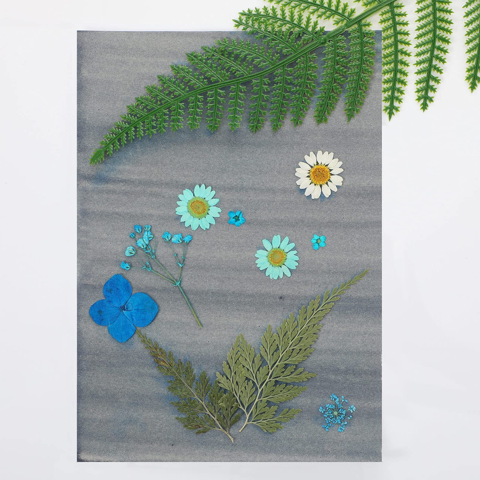 32 Sheets Sun Print Paper Cyanotype Paper A4 A5 Solar Drawing Paper Sensitivity Nature Pri - Image 7