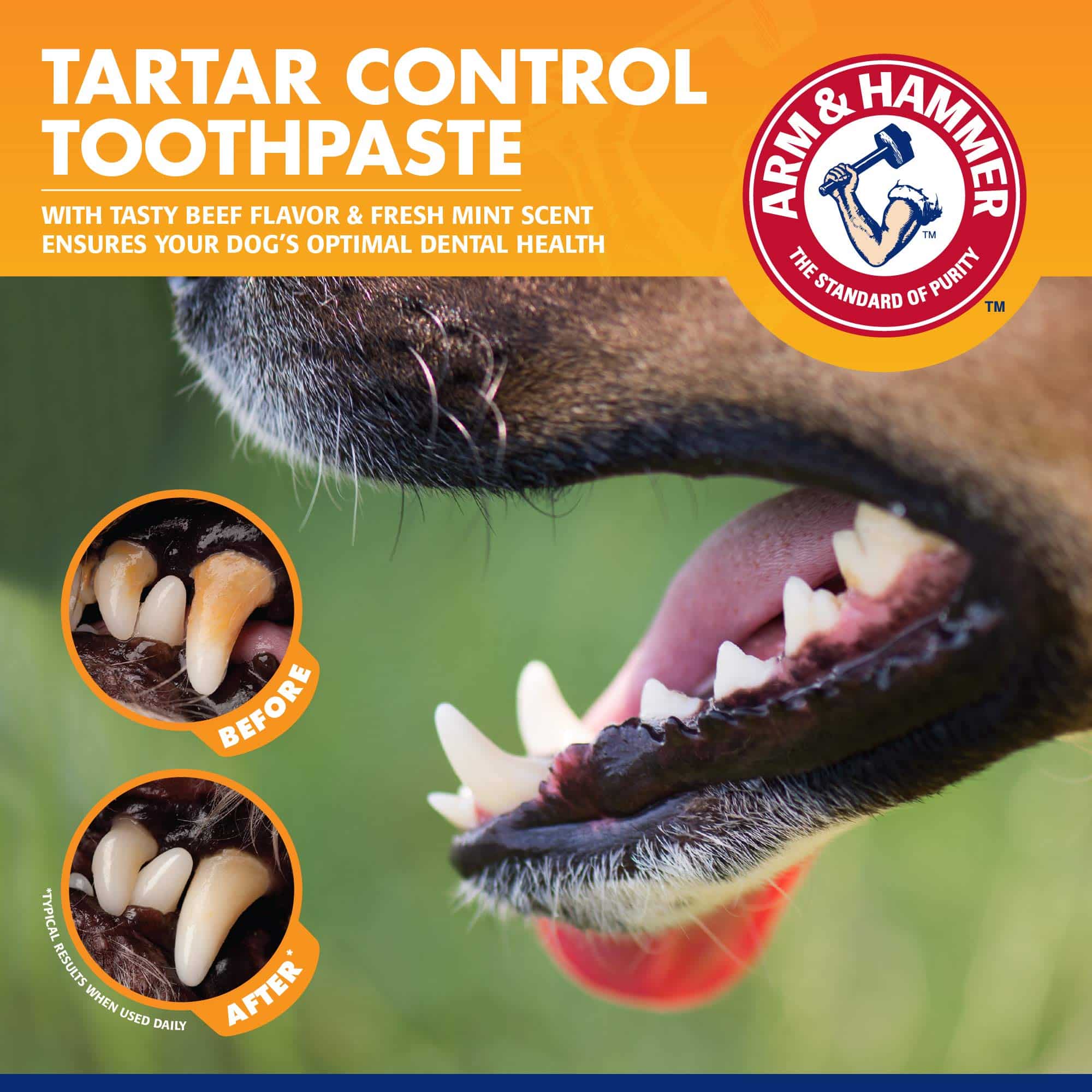 Arm & Hammer for Pets Tartar Control Kit for Dogs | Contains Toothpaste, Toothbrush & Fing - Image 4