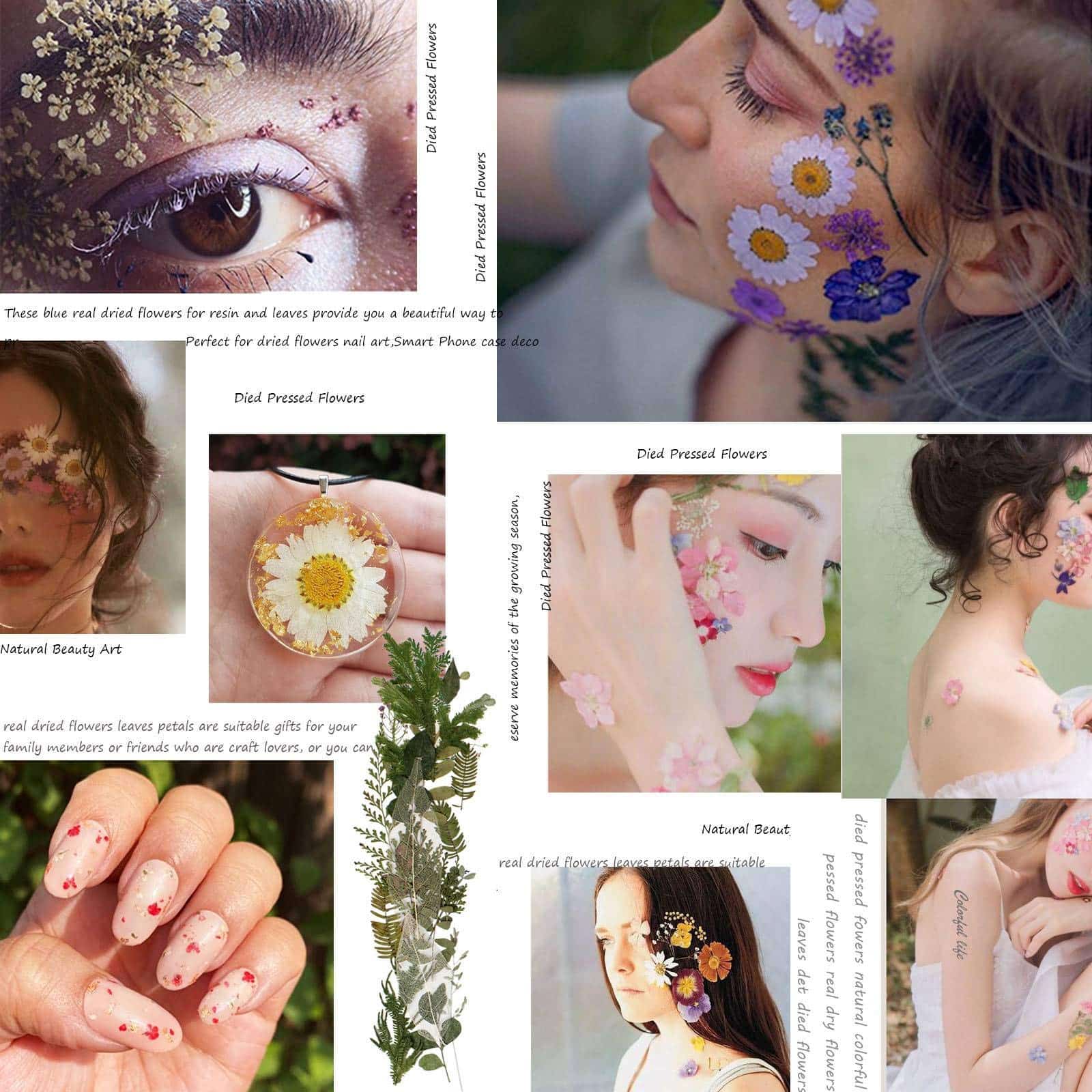 BIHRTC 100PCS Dried Flowers for Resin Real Dry Flower Natural Pressed Died Leaves Sunflowe - Image 6
