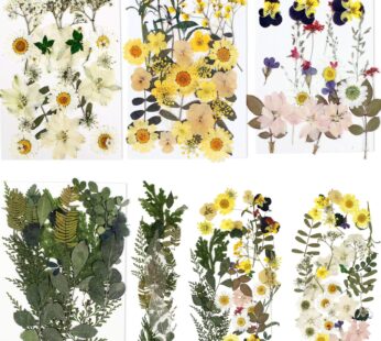 BIHRTC 100PCS Dried Flowers for Resin Real Dry Flower Natural Pressed Died Leaves Sunflowe