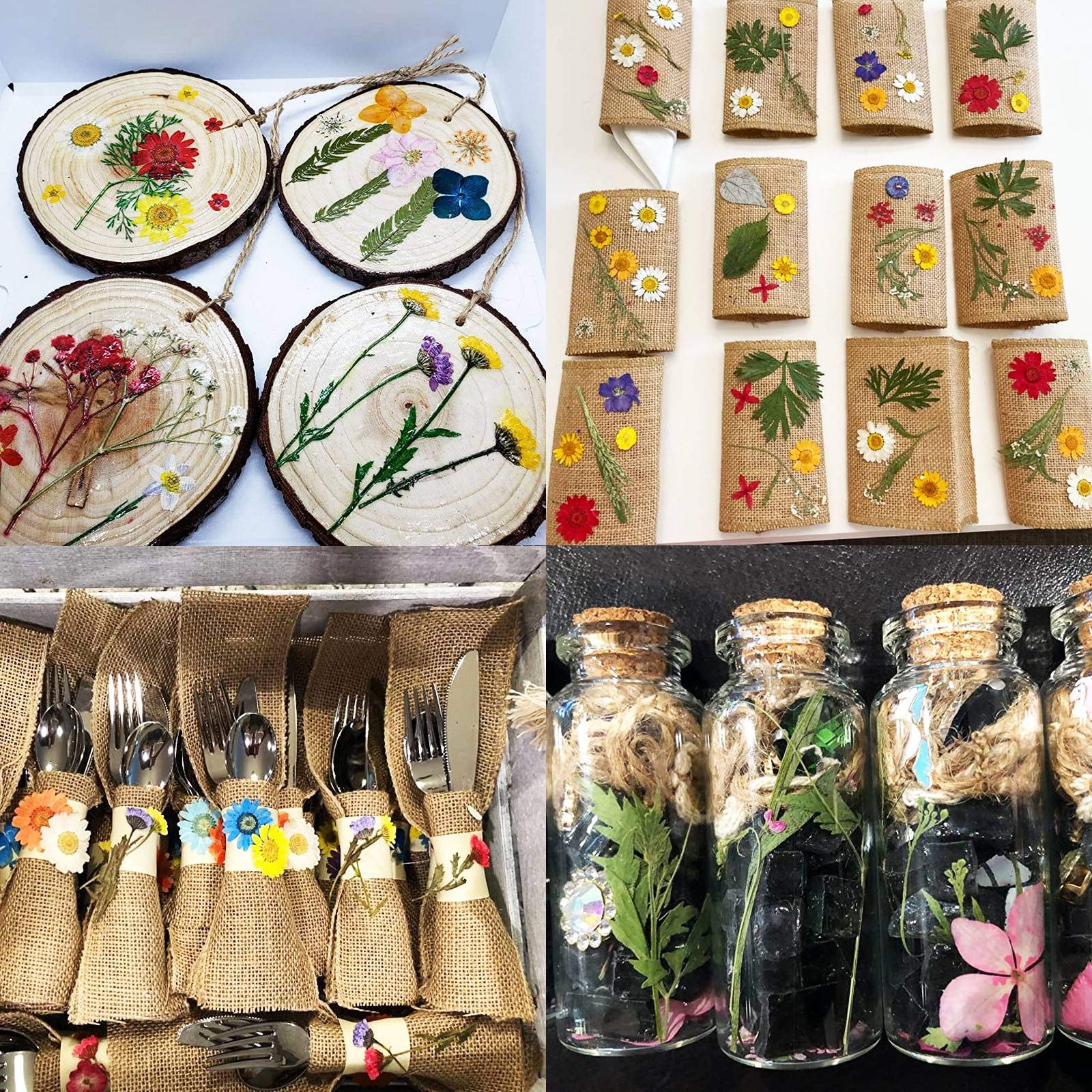 BIHRTC 100PCS Dried Flowers for Resin Real Dry Flower Natural Pressed Died Leaves Sunflowe - Image 4